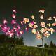2pc Solar Garden Lights Orchid Flowers Stake Lamp For Yard Outdoor Patio Decor