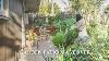Backyard Patio Makeover Mid Century Eichler House Garden Renovation Functional And Minimal
