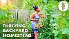 Woman S Incredible Backyard Homestead Produces Tons Of Food For Her Family Urban Garden Tour