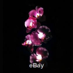 2 Pièces Orchidée Fleurs Solaire De Jardin Lampe Stake Yard Décor Extérieur