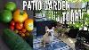 Garden Tour 2018 Petit Espace Patio Garden Tour Culture En Pot