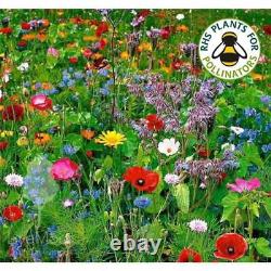 Graines De Fleurs Sauvages Livemoor Save The Uk Bees Différentes Tailles