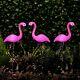 Solar Powered Pink Flamingo Ornament Set Of 3 Garden 53cm Outdoor Light Decor